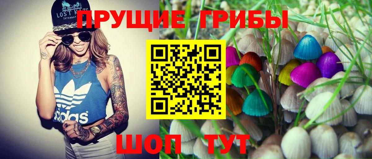 Псилоцибиновые грибы GOLDEN TEACHER Верхняя Салда