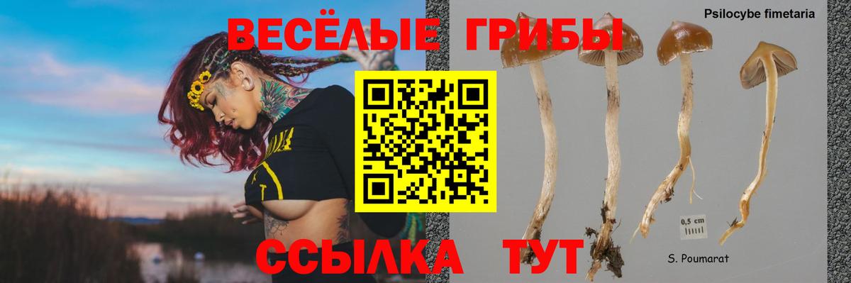Верхняя Салда  Галлюциногенные грибы Psilocybe  Вход с VPN  Галлюциногенные грибы MAGIC MUSHROOMS 